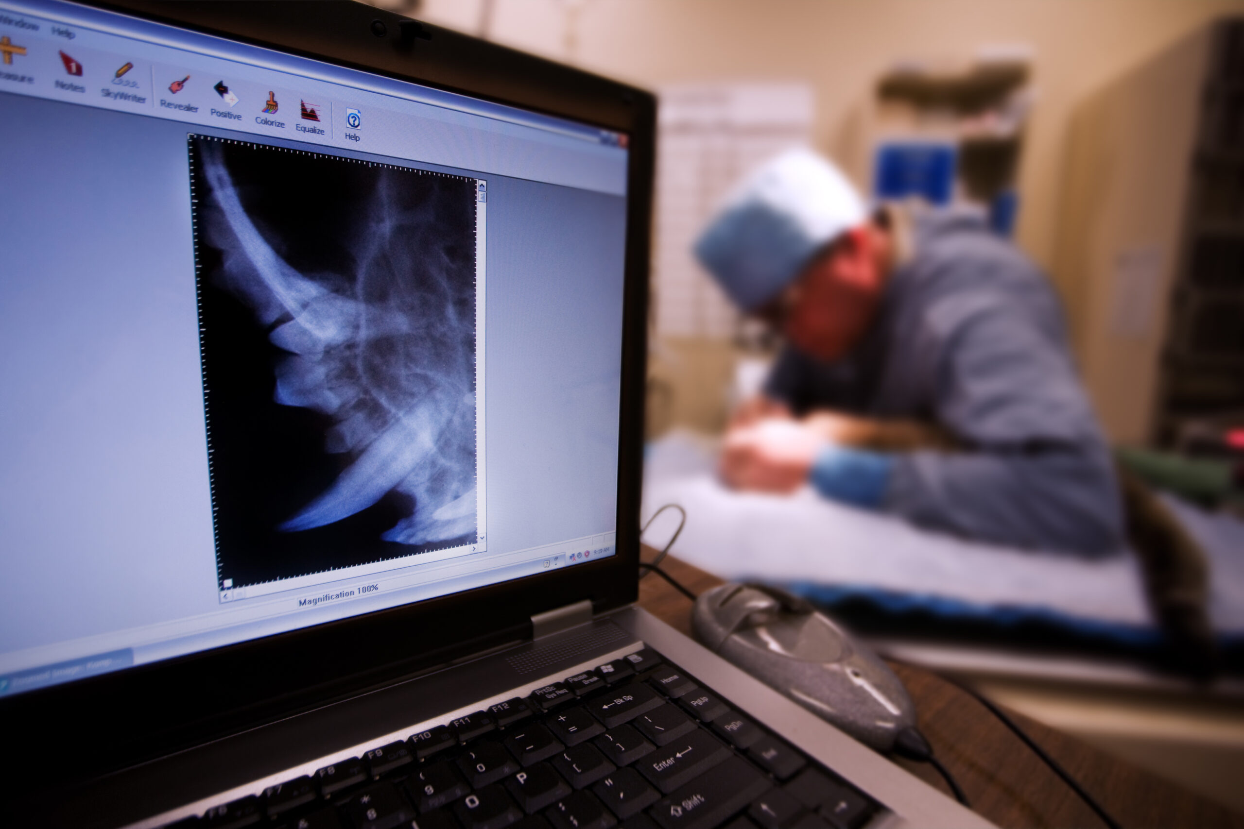 High Tech Veterinary Office Radiology
